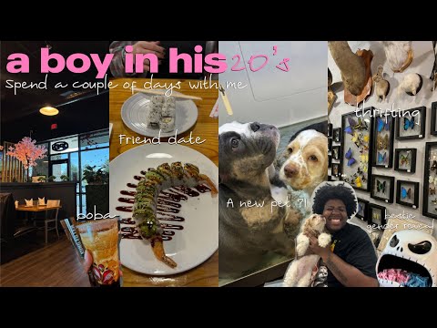 Life in my 20's : friend date, thrifting, am I getting a puppy? bestie's gender reveal & more