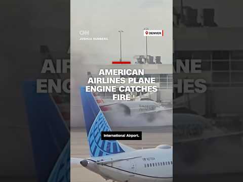 American Airlines plan engine catches fire