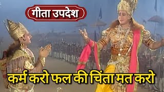 कर्म करो फल की चिंता मत करो | गीता उपदेश | #Geeta Updesh | #krishna Updesh | #bhagavadgita