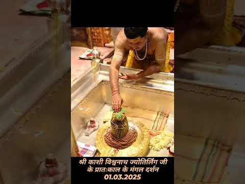 श्री काशी विश्वनाथ ज्योतिर्लिंग जी के प्रातःकाल के मंगल दर्शन 01.03.2025