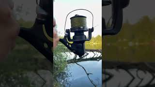 ASMR  #carpfishing #karpfenangeln #fishing #angeln #carp #karpfen