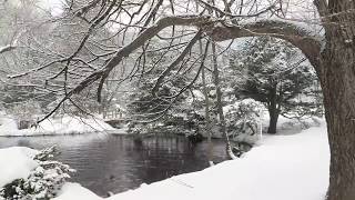 Snow Falling on Lake for 8 Hours (No Music) Relaxing, Sleeping, Meditation, Studying, Baby to Sleep