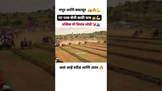 mathur & bakasur Gat pass #viral #sharyat #rahulpatil1001 #mohildhumal #bailgadasharyatlive #100k