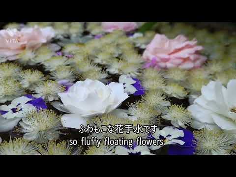 銀梅花（ぎんばいか）って知ってる？　フワモコな花手水を作ったよ　　#floatingflowers #花手水 #銀梅花