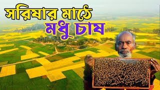 চলনবিলে সরিষা ফুলের মধু চাষে ঘুরছে ভাগ্যের চাকা ।Honey | Raaz Agro