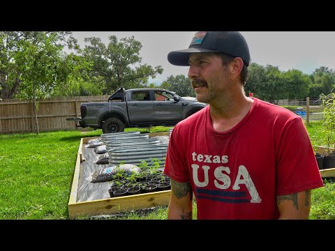 Will I FINISH Before The RAIN? DIY Tiny House Build | South Texas Living