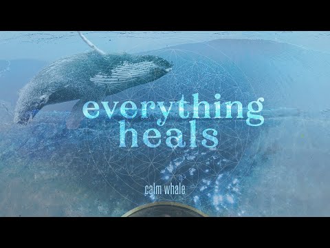 Nature Vibrations 🌊 Shaman Drum, Handpan & Rainstick - Everything Heals | Calm Whale