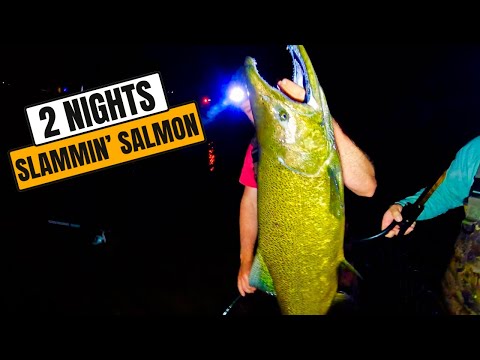 Fishing a Michigan River LOADED with SALMON ll JayPea Outdoors