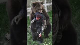 BLACK BEAR IN DARJEELING ZOO 😱                                              #darjeeling