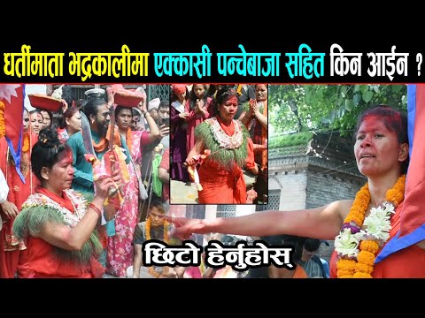 धर्ती माता भद्रकालीमा एक्कासी पन्चेबाजा सहित किन आईन ? छिटो हेर्नुहोस् || Dharti Mata Bhadrakali