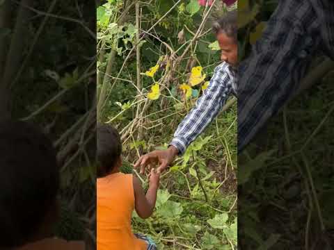 সকাল বেলায় গুমথেকে উঠে চোট মেয়ে কথা শুনতে হবে