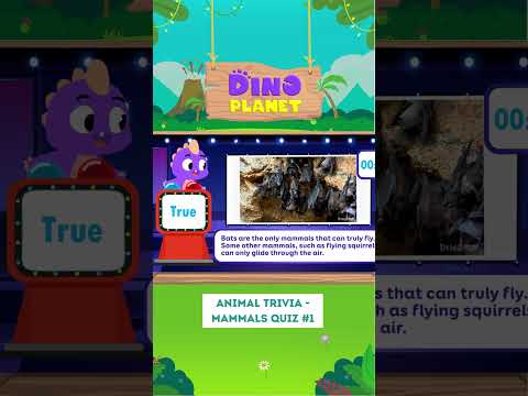 Animal trivia | 🐭🕊️🦂 General knowledge quiz about mammals #1 | Dino Cartoon ClassvidIQ badge