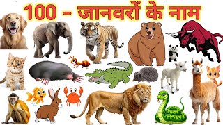 100 Animals Name With Pictures in Hindi and English | १०० जानवरों के नाम | 100 Animal Video