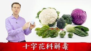 肝分解毒素,十字花科蔬菜解毒作用,柏格醫生 Dr Berg