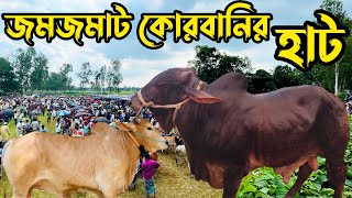 মাঝারি আকারের গরুর জন্য বিখ্যাত সিরাজগঞ্জের বাগবাটির কোরবানির পশুর হাট ।Raaz Agro