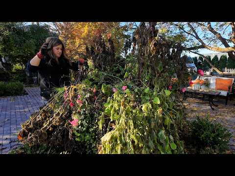 Cleaning Out 3 Annual Beds! So Satisfying! ☺️🍂🥀 // Garden Answer