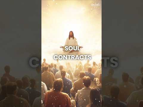 Soul contracts explained #soul #karma #spiritual #spirituality #spiritualawakening #god #shorts