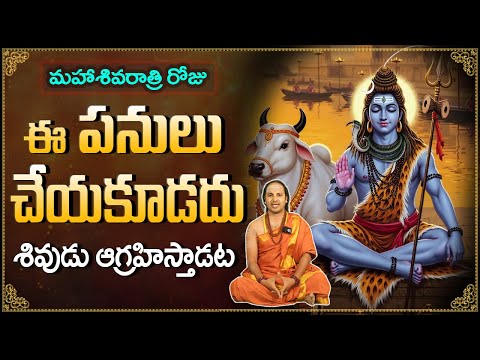 మహాశివరాత్రి రోజు ఈ పనులు చేయకూడదు |  Shivaratri Special 2025