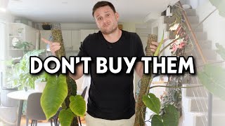 Houseplants I regret buying & why