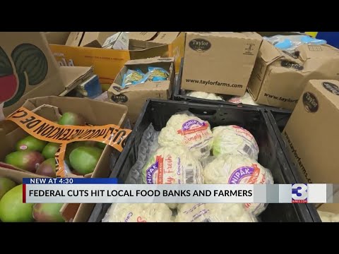 TN farmers, local food bank brace for $1B in federal cuts