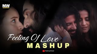 Feeling Of Love Mashup 2024 | Trending Bollywood Love Mashup 2024 | Vishal Mishra | MashupWood