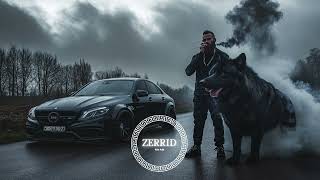 ZERRID - The Best Deep House 2025 #deephouse #carmusic