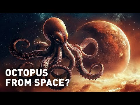 Are Octopuses Truly Earthly Creatures? The Debate Explained