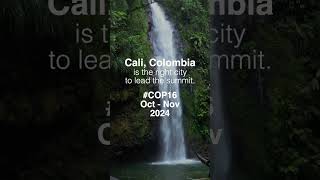 #COP16 Colombia will host the next United Nations Biodiversity Conference. Oct Nov 2024