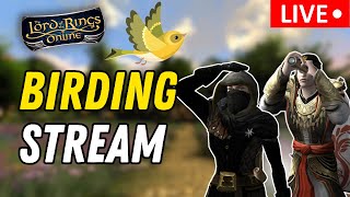 🐦 Birding Update! Catching the Last 19 Birds! | LOTRO Birding Stream