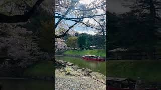 Hikone Castle (Shiga ken) #shorts