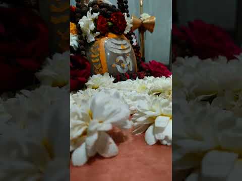 Mahadev ka Aashirwad aap sabhi per banaa rahe ❤️🙏🏻🙏🏻🚩🚩❤️❤️❤️❤️