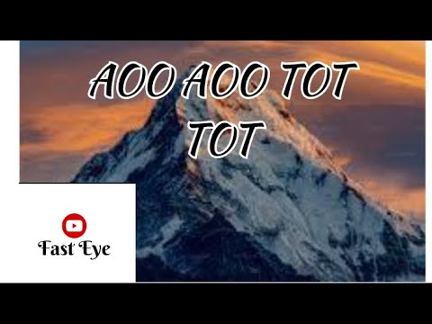 AOO AOO TOT TOT - by Fast Eye || lyrics|| song