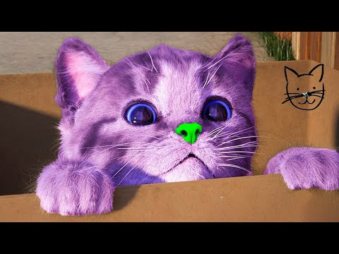 LITTLE KITTEN ADVENTURE LEARNING NURSERY RHYMES AND SONGS FOR TODDLERS CUTE CAT VIDEOS