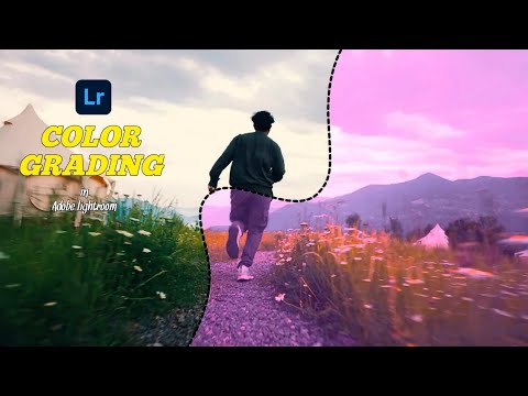 How to Add Professional - Quality Color Your Phone in Adobe lightroom @DO.Cartoon