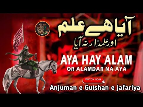 Aya hai Alam Aur Alamdar Na Aya | Anjuman e Gulshan e jafariya Govandi Mumbai 2025-1446