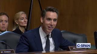 Sen. Josh Hawley to Visa & Mastercard: "This is classic monopolistic behavior."