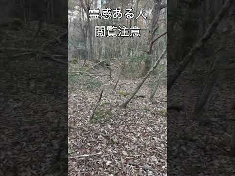 富士山で撮れた心霊映像※閲覧注意