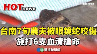 台南7旬農夫被眼鏡蛇咬傷　施打6支血清搶命｜華視新聞 20250315@CtsTw