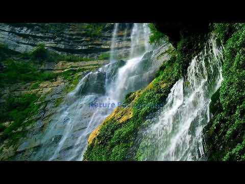 Relaxing Piano Music for Stress Relief ♫ Background Music to Boost Focus