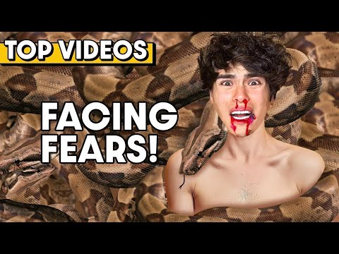 World’s Most Extreme FEAR CHALLENGES! | Stokes Twins