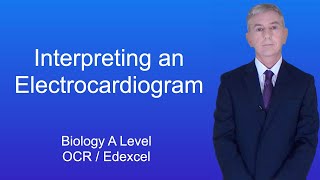 A Level Biology Revision "Interpreting an Electrocardiogram (OCR / Edexcel)"