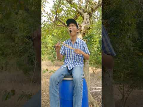 "Sheltering on a Blue Plastic Barrel!" #entertainment #birdsounds #shorts #camping #survival