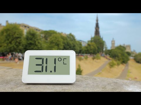 5 things I learnt from Scotland's hottest ever day