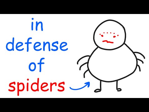 Why I Like Spiders