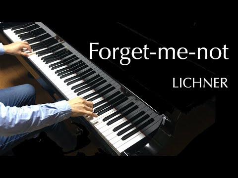 忘れな草（リヒナー）Forget-me-not (Lichner)