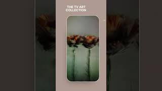 The Tv Art Collectıon  #4kframe #artframetv #artscreensaver #artfortv#VintageArt