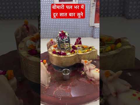 बीमारी पल भर में दूर सात बार सुने#bhakti #shivlingpuja #viratguptashort468