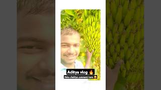 Aditya vlog 🔥 #dairyfarm #farming #farmer #cute #vlogs #comedy #adityavlogs