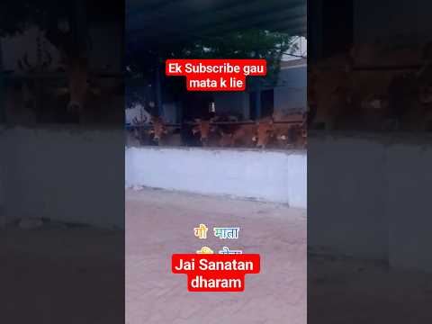 ek Subscribe gau mata k lie #krishnavlog #devotional #youtubeshorts