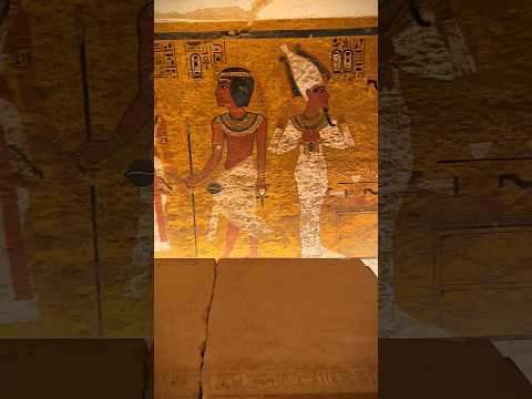 King Tutankhamun #tomb #egypt #ancient #history #fy #explore #shorts #египет #гробница #подпишись